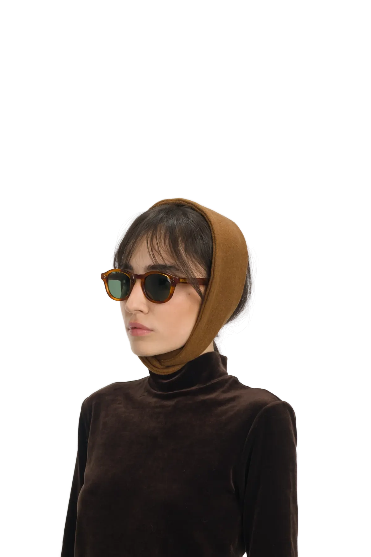 310ºW - Brown