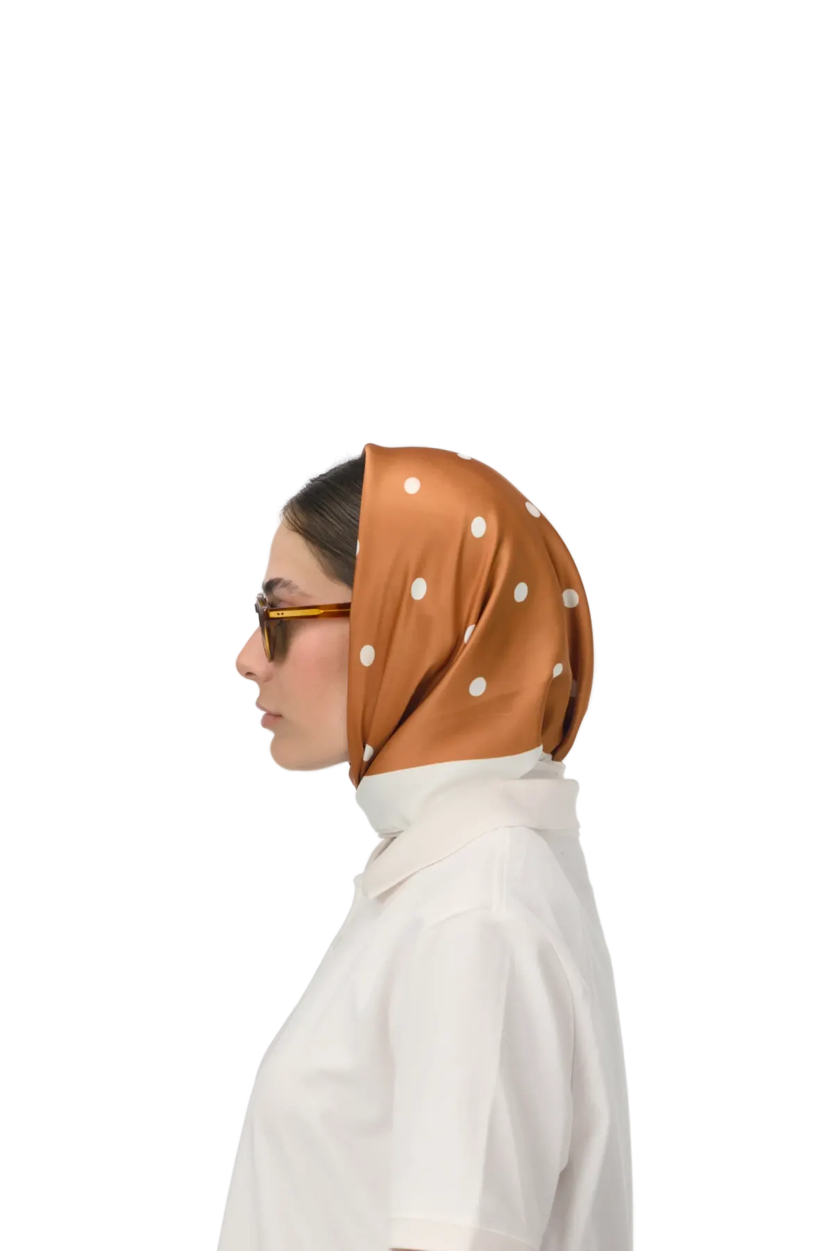 310ºW - Brown