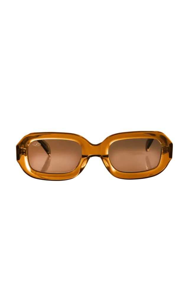 290ºW - Brown